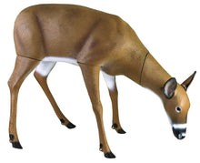 Load image into Gallery viewer, Flambeau Grazing Doe Decoy