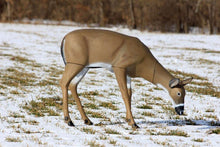 Load image into Gallery viewer, Flambeau Grazing Doe Decoy