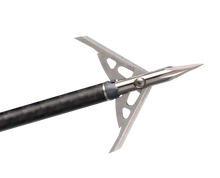 Load image into Gallery viewer, Rage Trypan +P 2-Blade Broadheads
