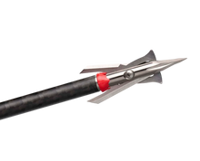 Load image into Gallery viewer, Rage Trypan +P 2-Blade Broadheads