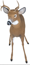 Load image into Gallery viewer, Flambeau Scrapper Buck Decoy