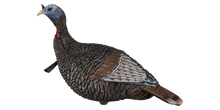 Load image into Gallery viewer, Flextone THUNDER JAKE Turkey Decoy