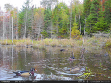 Load image into Gallery viewer, WiseEye Data Cam 2 NO GLOW (Trail Camera)
