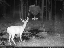 Load image into Gallery viewer, WiseEye Data Cam 2 NO GLOW (Trail Camera)