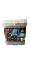 Load image into Gallery viewer, Glory