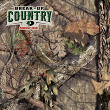 Load image into Gallery viewer, Diamond Prism Compound Bow Package