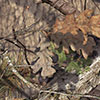 Load image into Gallery viewer, Bowtech Reckoning