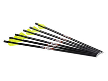 Load image into Gallery viewer, Excalibur Quill 16.5" Crossbow Bolt (6 pk)