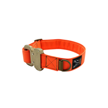 Load image into Gallery viewer, T&K Dog Collar with 1.5 ADF Buckle