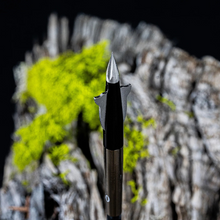 Load image into Gallery viewer, Beast Practice Tips - 3 Pack
