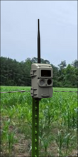 Load image into Gallery viewer, Cuddelink Camera IR Black Flash Trail Camera LL-3A
