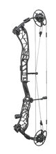 Load image into Gallery viewer, Elite Victra
