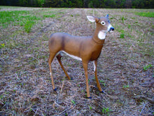 Load image into Gallery viewer, Flambeau Boss Babe Decoy
