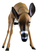 Load image into Gallery viewer, Flambeau Grazing Doe Decoy
