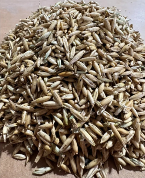 Oats & Molasses 50lb Bag Bear Bait