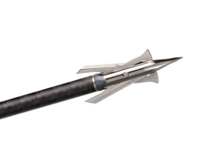 Load image into Gallery viewer, Rage Trypan +P 2-Blade Broadheads
