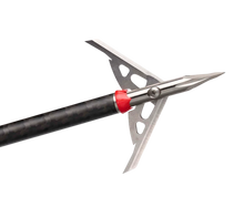 Load image into Gallery viewer, Rage Trypan +P 2-Blade Broadheads
