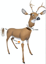 Load image into Gallery viewer, Flambeau Scrapper Buck Decoy
