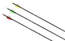 Load image into Gallery viewer, Victory VLR 166 Elite Shaft (12pk)
