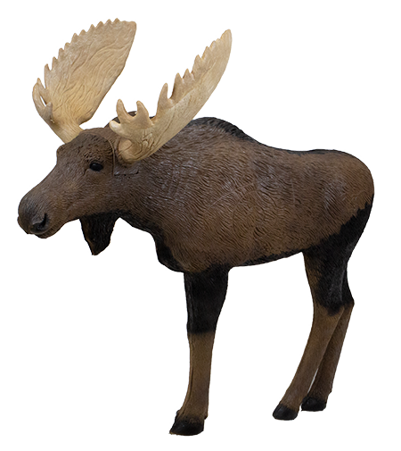 Woodland Moose 1/3 Scale 3D Target