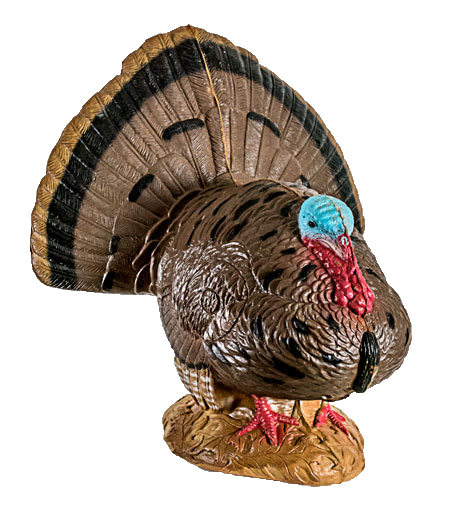 Woodland Strutting Turkey 3D Target