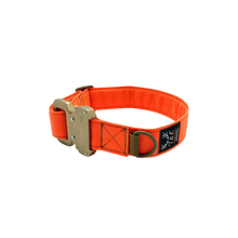 Load image into Gallery viewer, T&amp;K Dog Collar with 1.5 ADF Buckle
