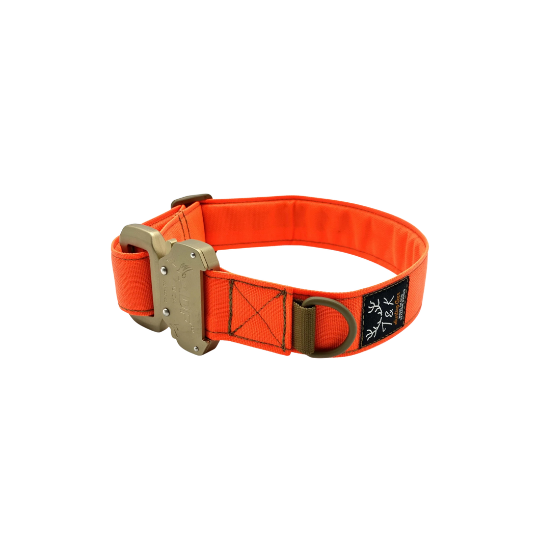 T&K Dog Collar with 1.5 ADF Buckle