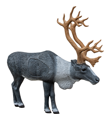 Woodland Caribou 1/3 Scale 3D Target