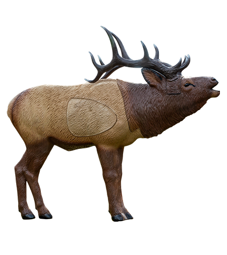 Woodland Elk 1/3 Scale 3D Target